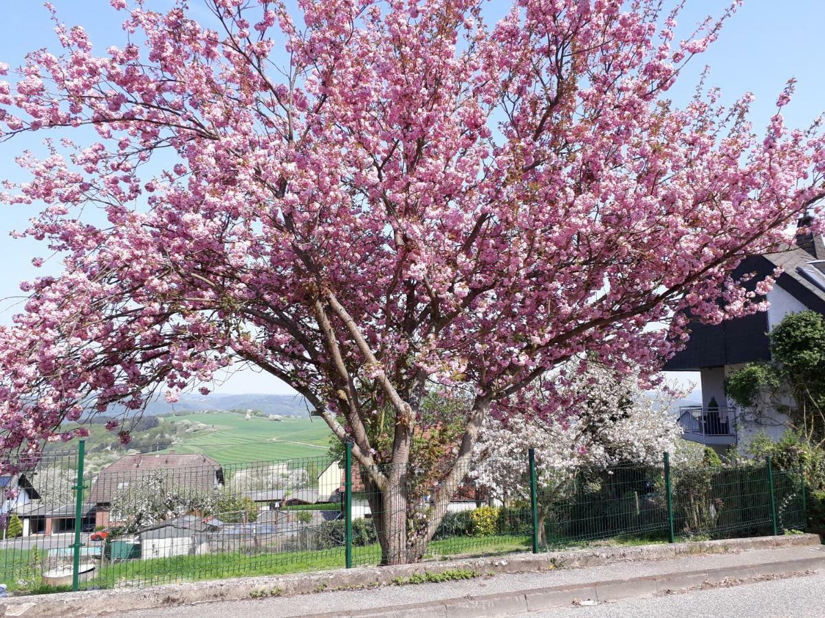 Haus Der Rosen Apartman Boppard Kültér fotó